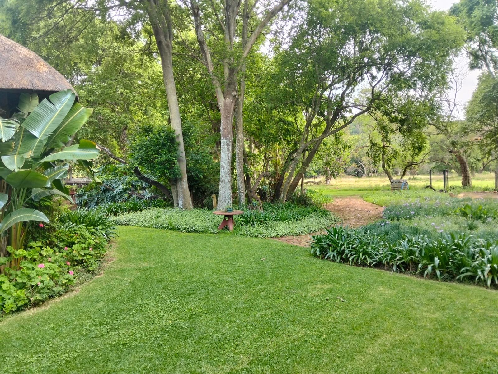 The garden beside the main house