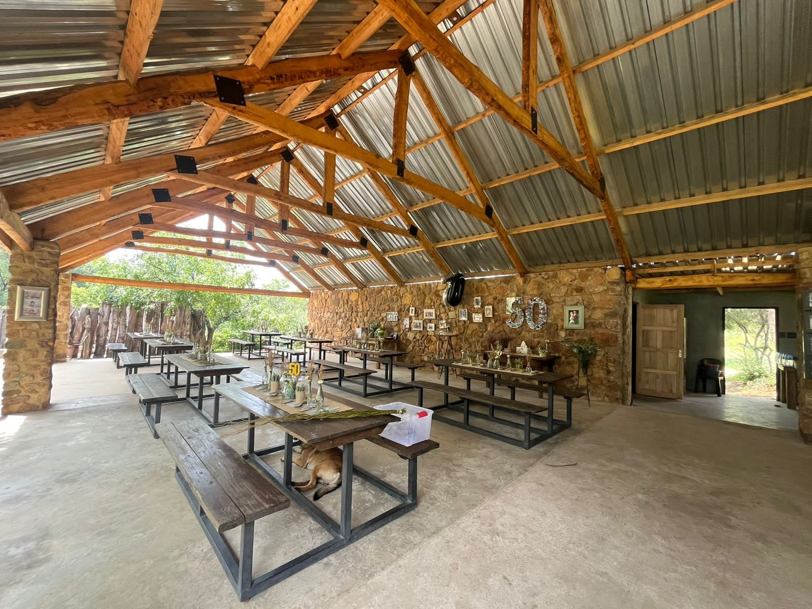 Under the steel roof and timber trusses